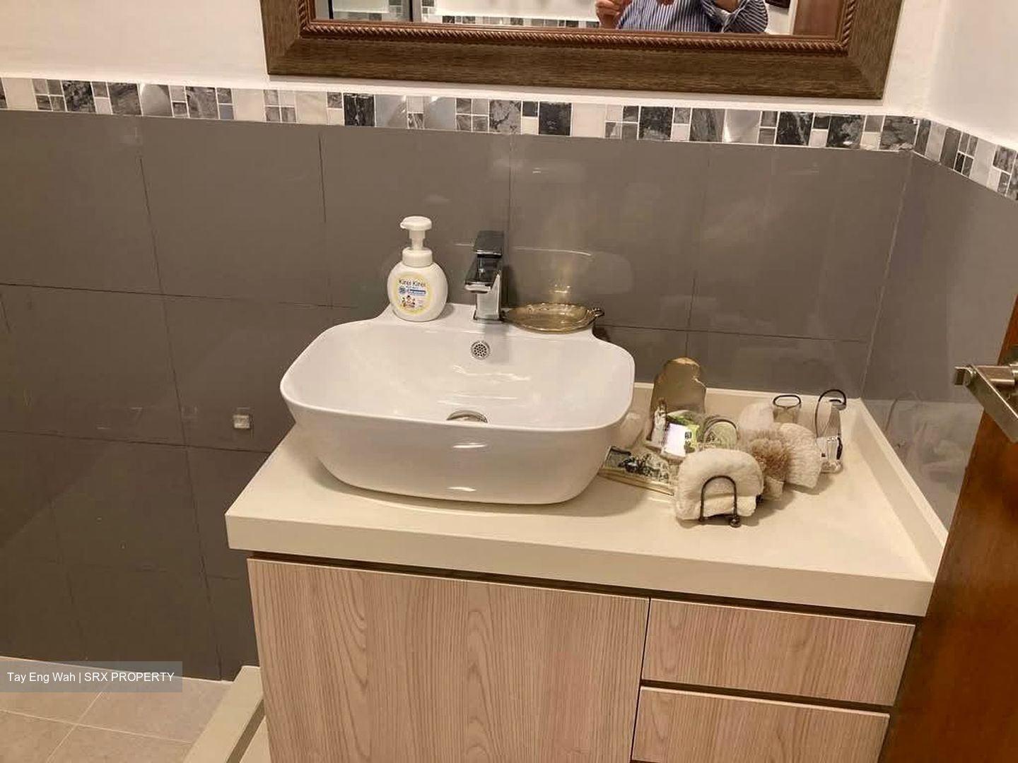 Clementi Park (D21), Condominium #560818771